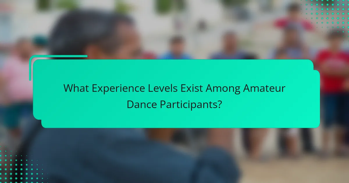 What Experience Levels Exist Among Amateur Dance Participants?