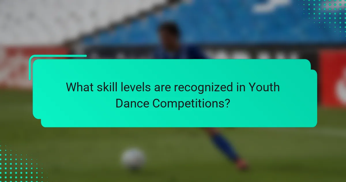 What skill levels are recognized in Youth Dance Competitions?